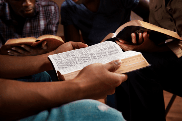 Spanish Bible 600x400