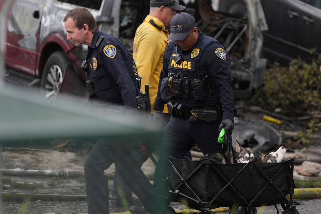 Police help rescue dogs from a home after a small plane crashed into a San Diego neighborhood 