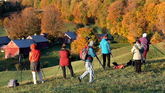 Photographers taking pictures of fall foliage