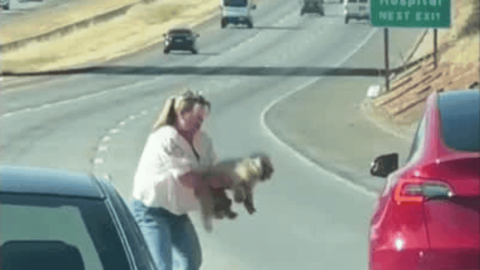 Woman holding dog on freeway
